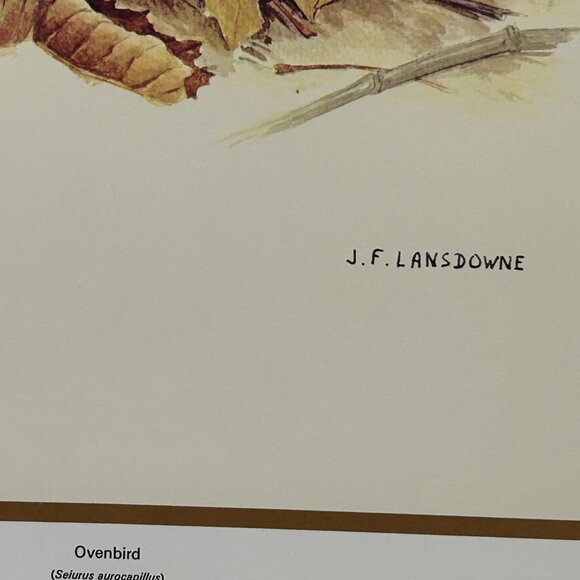 Vintage 1970 & 1971  Calendar Prints J.F. Lansdowne Birds - Picture 7 of 9